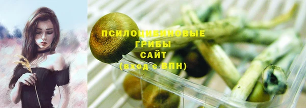 ПСИЛОЦИБИНОВЫЕ ГРИБЫ Алексин