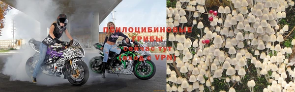 амф Алексеевка